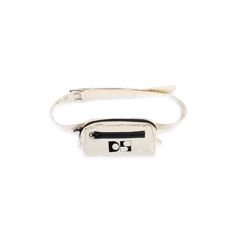 DS Belt bag